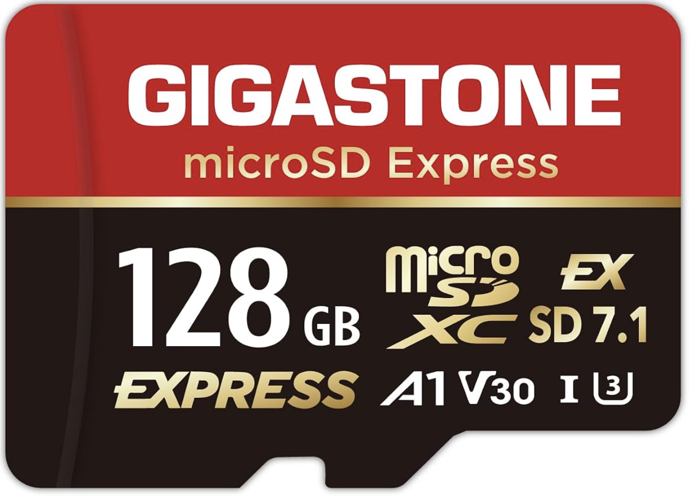 GIGASTONE 128GB