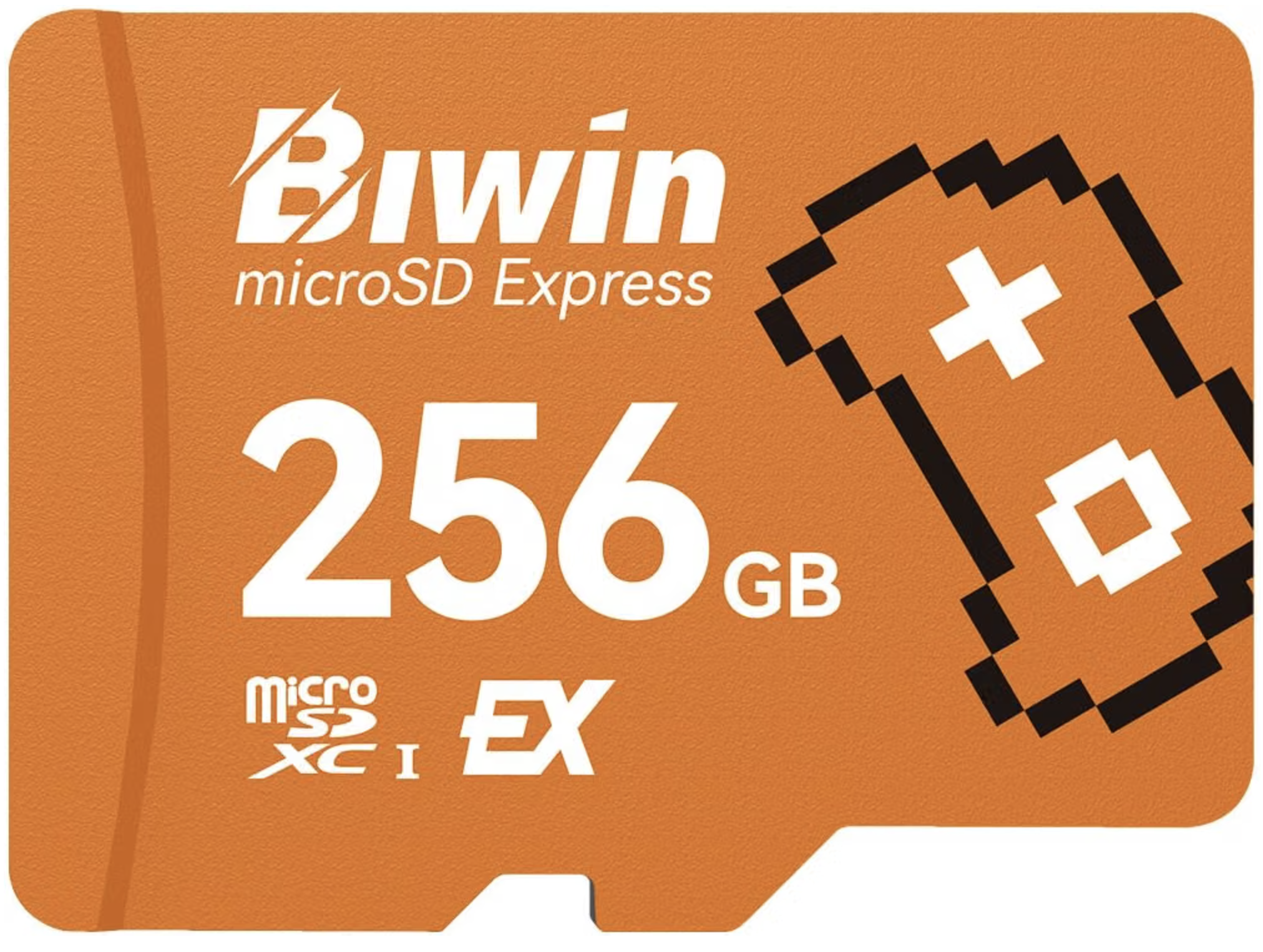 Biwin 256GB