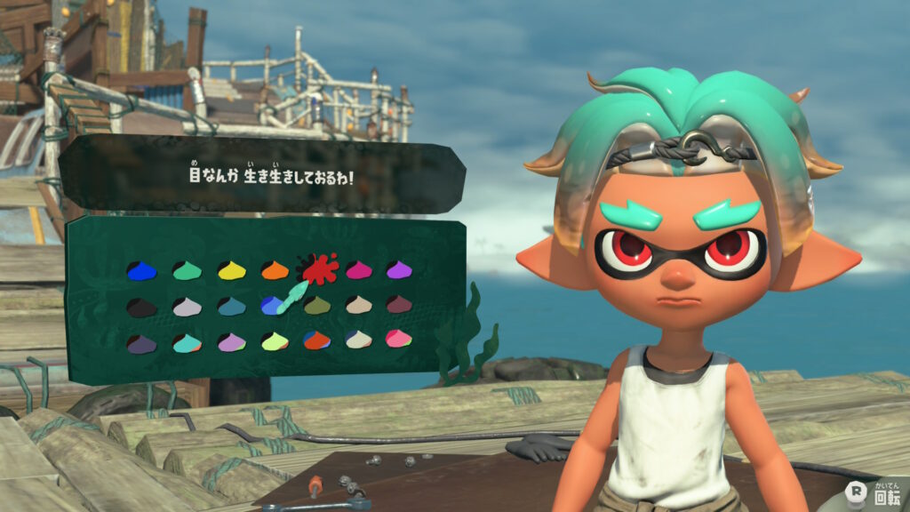 スプラトゥーンレイダース　写真